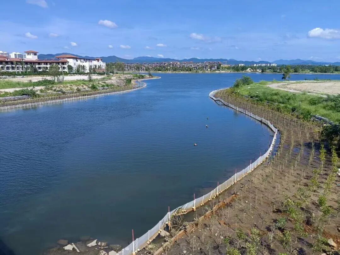 三亞環(huán)農(nóng)集團(tuán)：加力提速抓項(xiàng)目 全力以赴拼經(jīng)濟(jì)